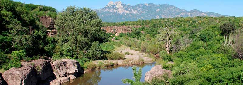 Zona del rio Sonora