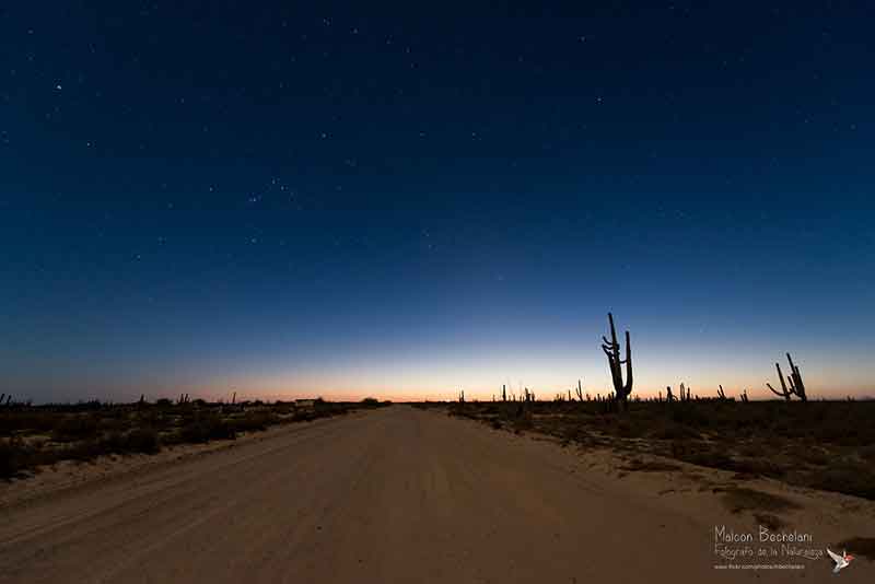 Sonora México por Malcon Bechelani