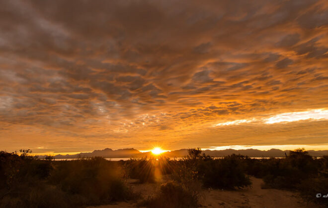 Atardecer Malcon Bechelani